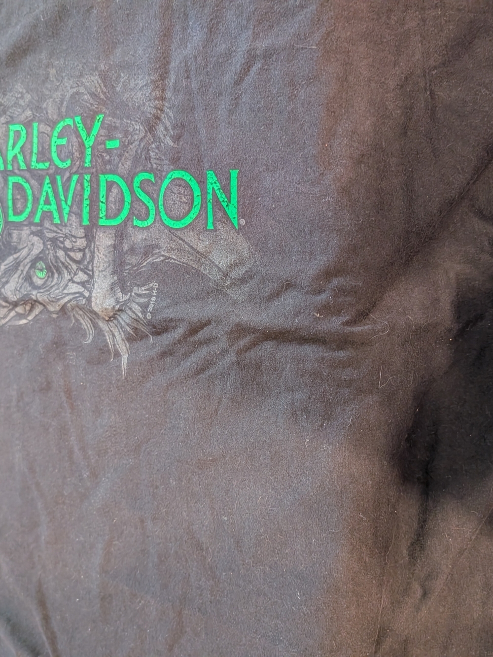 Harley-Davidson Black T-Shirt with Green Logo
